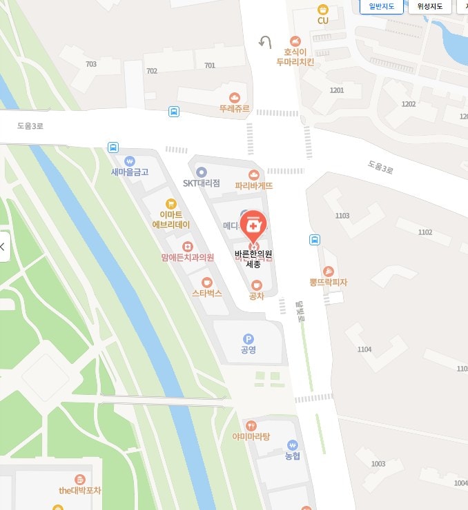 세종 바른한의원 위치 — 네이버 지도
